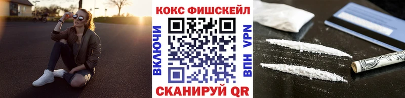 что такое наркотик  Курган  маркетплейс телеграм  Cocaine Fish Scale  блэк спрут  