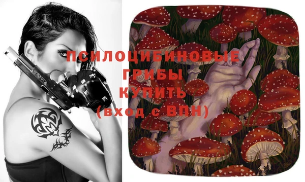 каннабис Гусиноозёрск